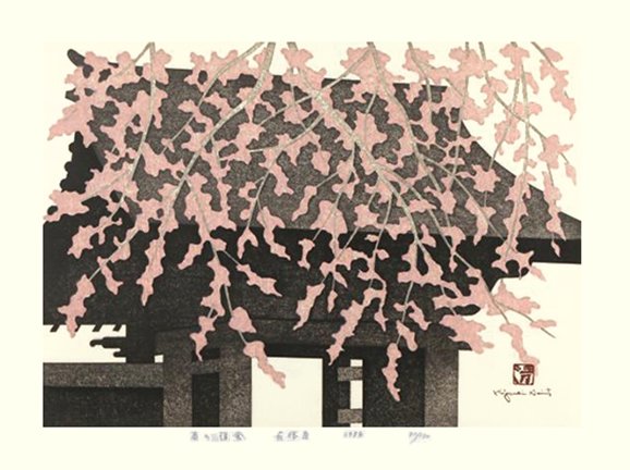 photo20.jpg