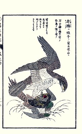 photo19.jpg