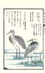 photo50_small.jpg
