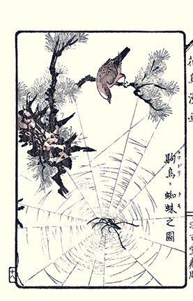 photo22.jpg