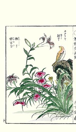 photo13.jpg