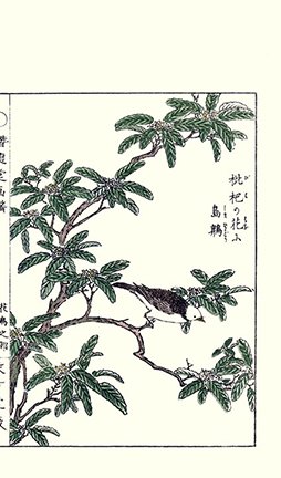 photo33.jpg
