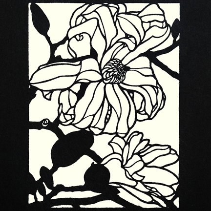 photo15.jpg
