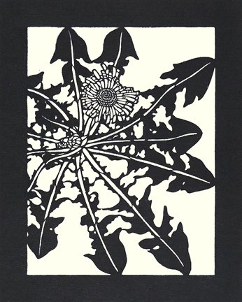 photo7.jpg