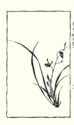 photo17.jpg