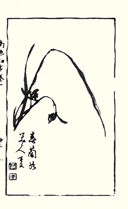 photo20.jpg