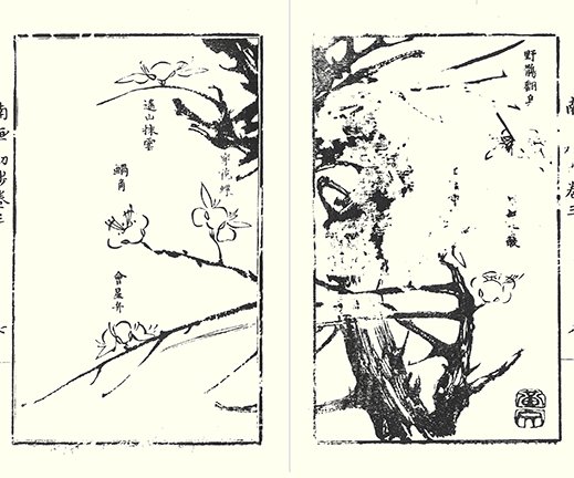 photo24.jpg