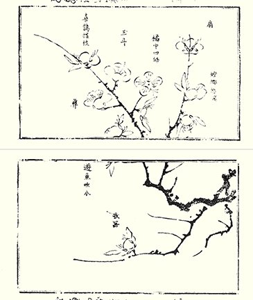 photo31.jpg