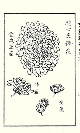 photo46.jpg