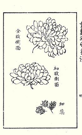 photo48.jpg