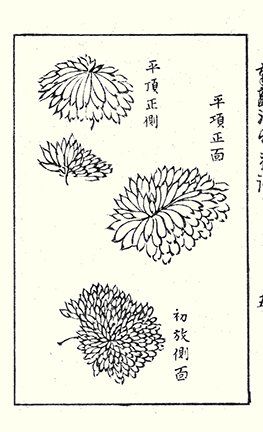 photo50.jpg