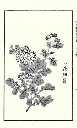 photo53.jpg