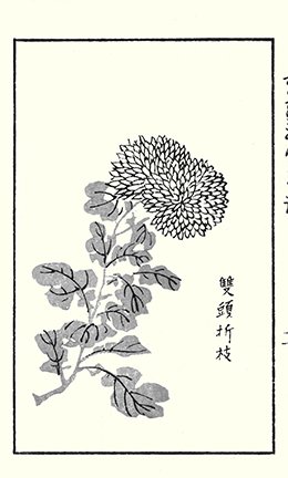 photo55.jpg
