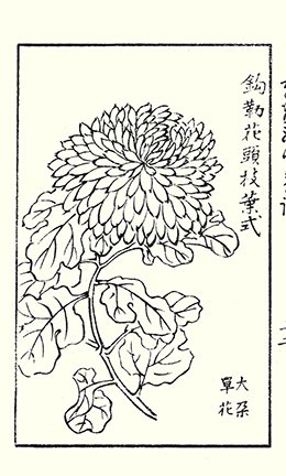 photo57.jpg