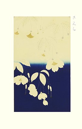 photo.jpg