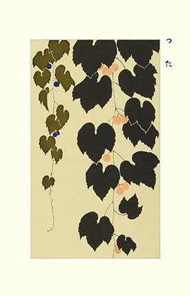 photo51.jpg