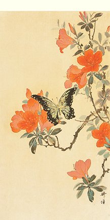 photo12.jpg