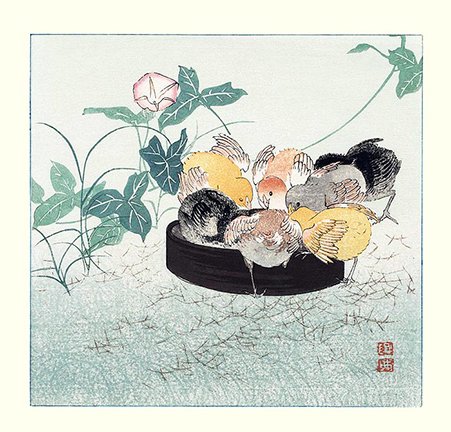 photo16.jpg