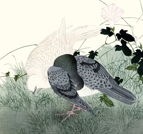photo17.jpg
