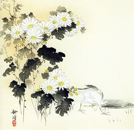 photo19.jpg