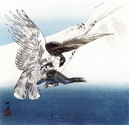photo21.jpg