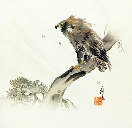 photo22.jpg