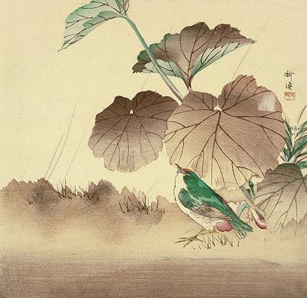 photo23.jpg