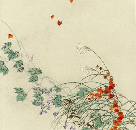 photo27.jpg