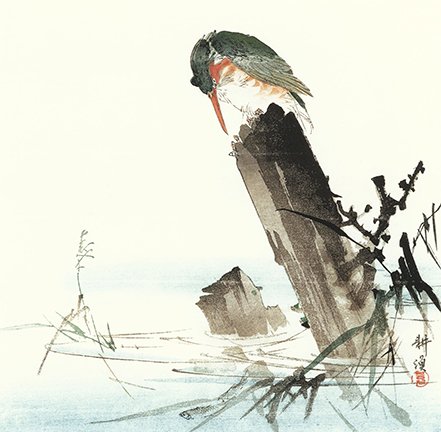 photo2.jpg