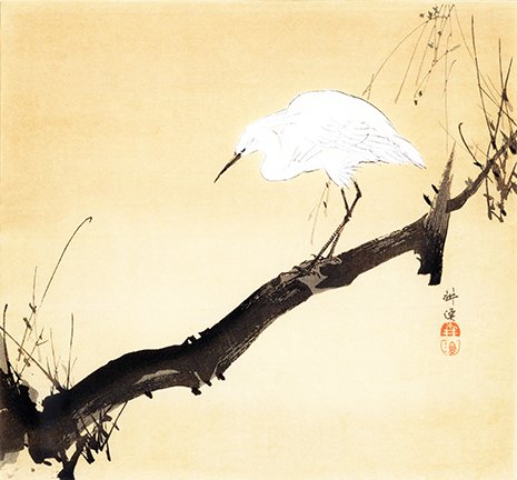 photo9.jpg