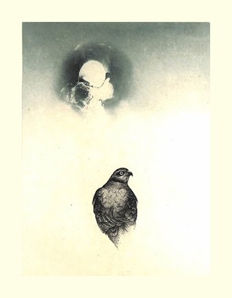 photo24.jpg