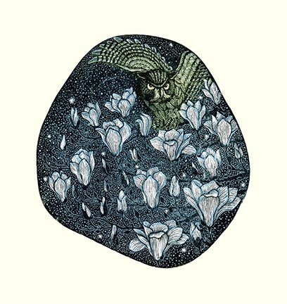 photo21.jpg