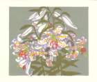 photo7_small.jpg