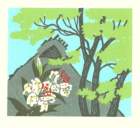 photo8_small.jpg
