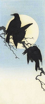 photo21.jpg