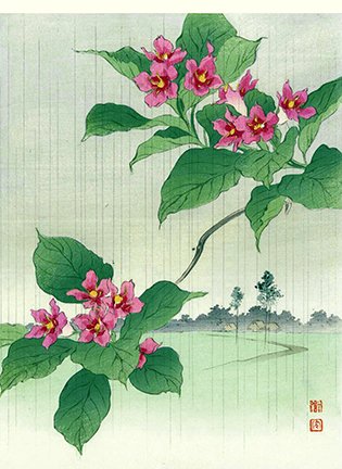 photo24.jpg