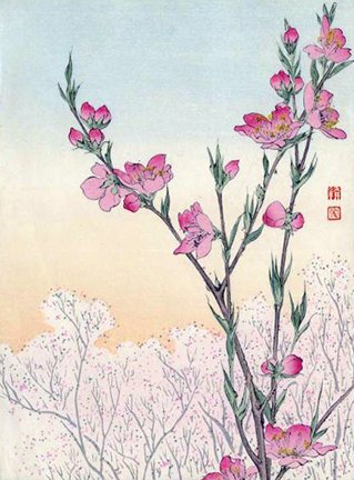 photo25.jpg