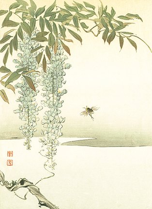 photo28.jpg