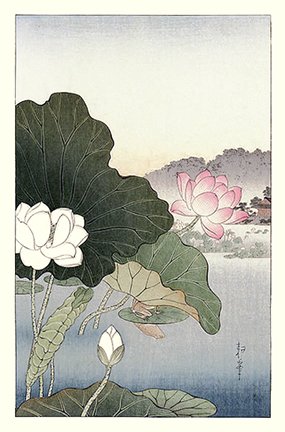 photo32.jpg