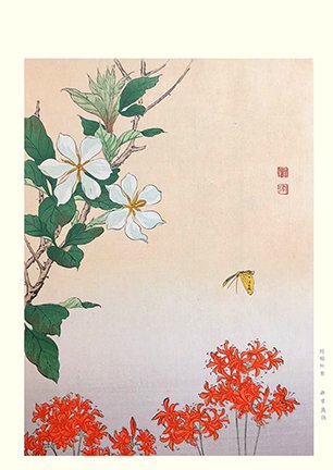 photo35.jpg