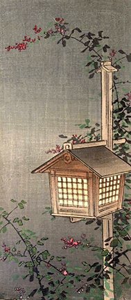 photo37.jpg