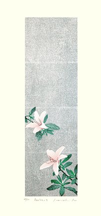 photo14.jpg