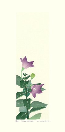 photo15.jpg