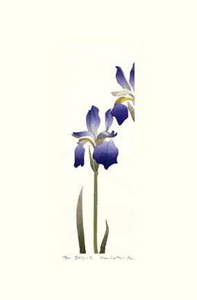photo22.jpg