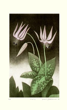 photo55.jpg