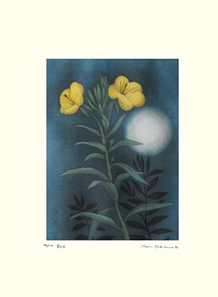 photo57.jpg