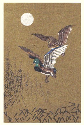 photo22.jpg