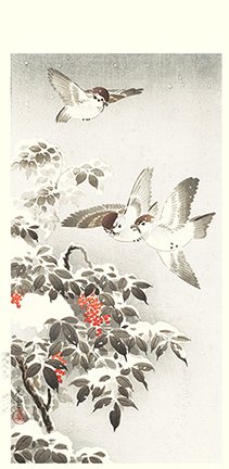 photo3.jpg