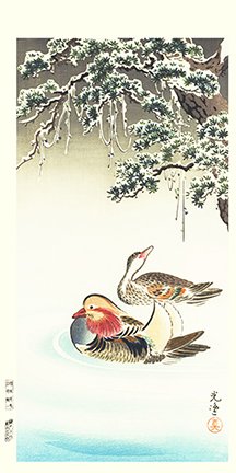 photo7.jpg