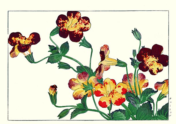 photo30.jpg